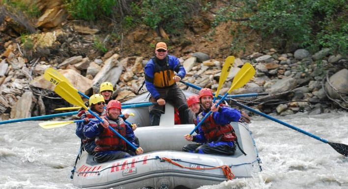 private tours denali national park