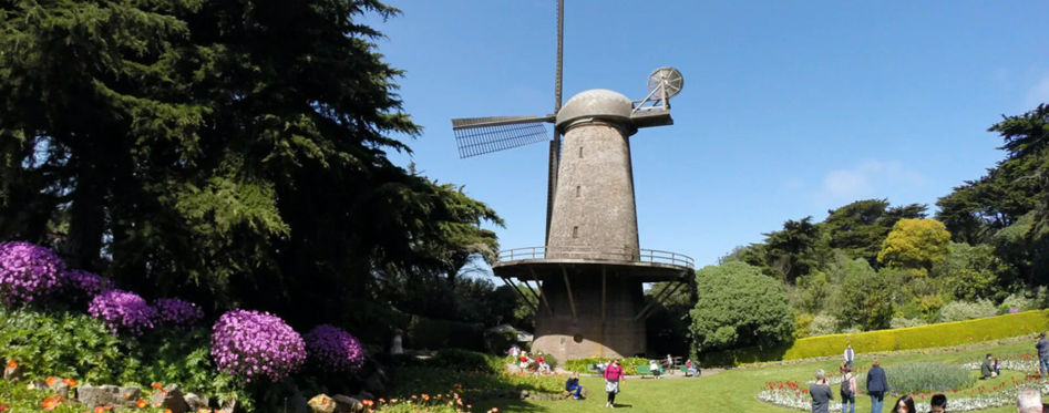 Dutch Winmill and Tulip Garden in Golden Gate Park
