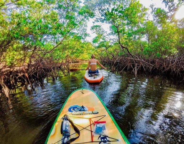 Paddle Board Fitness Sunrise Paddleboards, LLC.