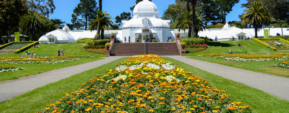 Golden Gate Park Fun Facts and History 
