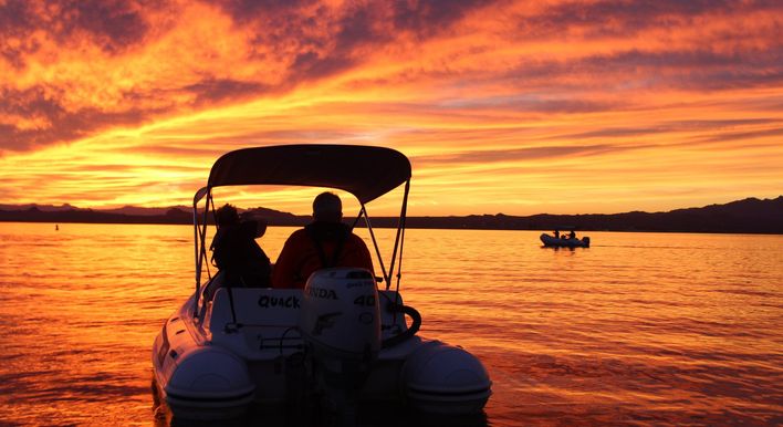 rubber duck boat tours lake havasu