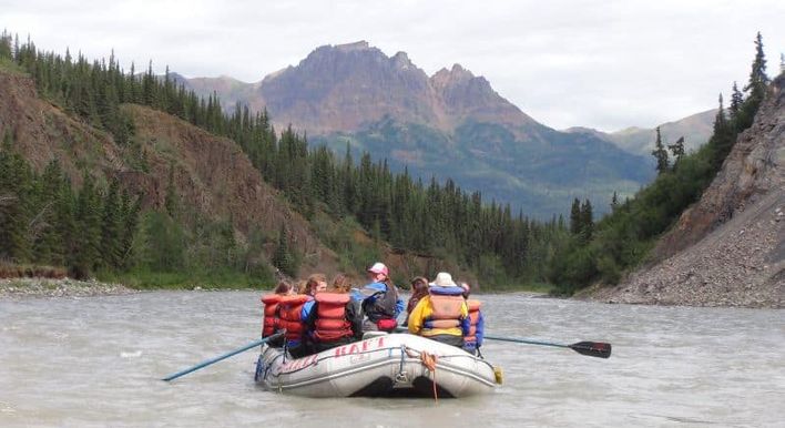 private tours denali national park