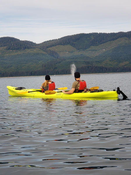 Fairweather Icy Strait Point Kayak Adventure