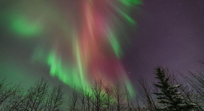 private tours denali national park