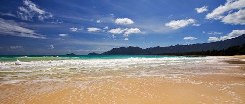 Premium Oahu Circle Island – North Shore Snorkeling Tour (With Dole ...