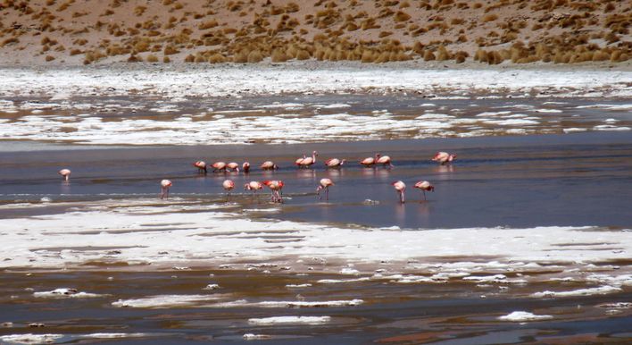 chile atacama desert tour