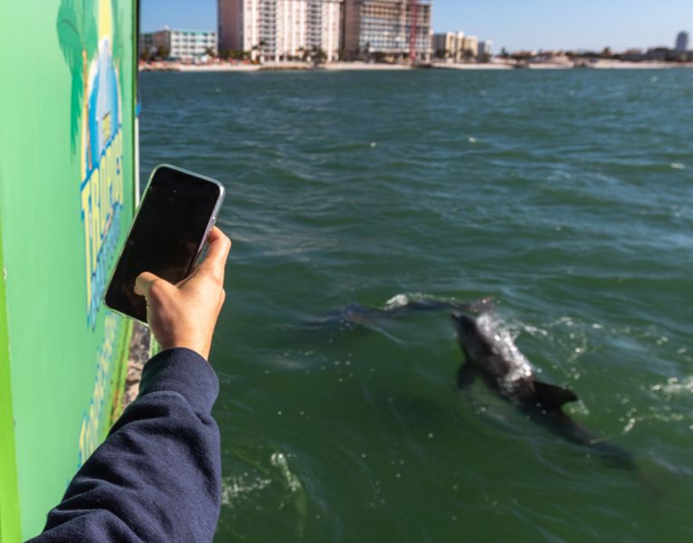 tropic boat tours clearwater florida