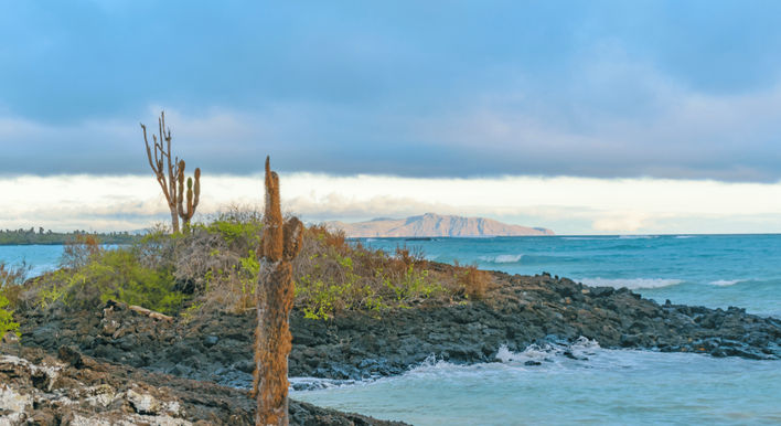 ecuador tours from quito