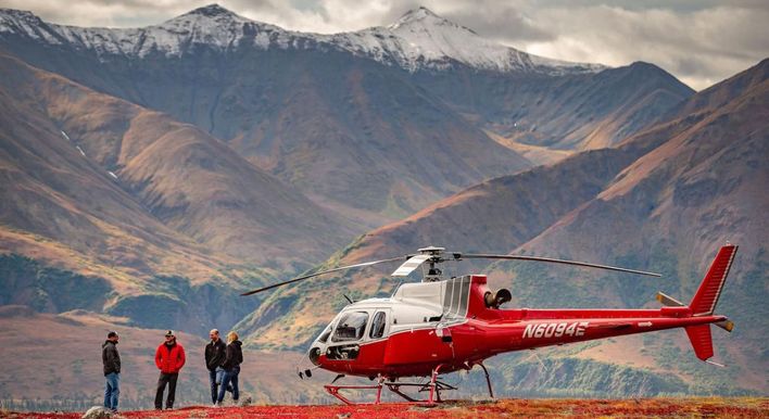 private tours denali national park