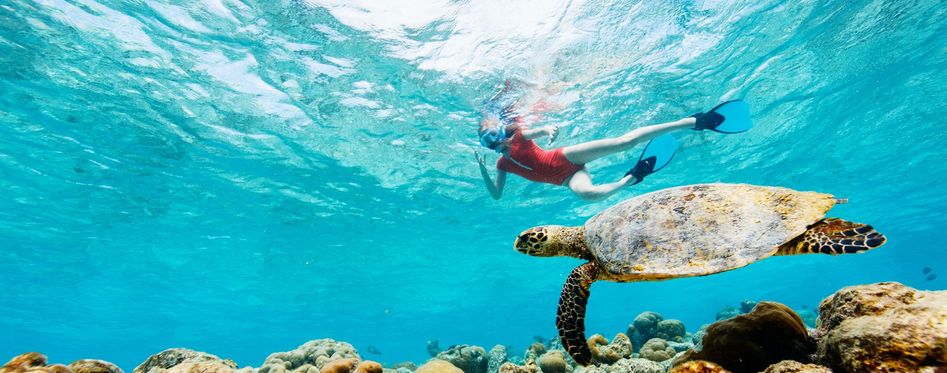 Best Snorkeling In The Keys