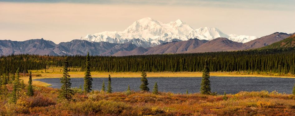 Denali National Park: What to See if You Only Have a Weekend