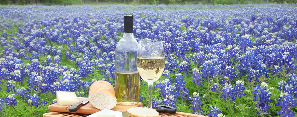 winery tour in fredericksburg tx