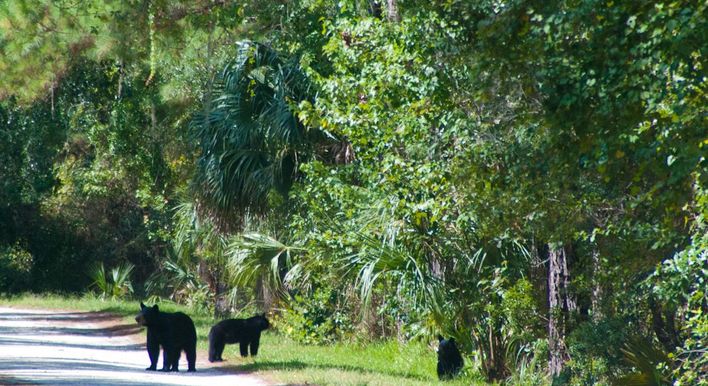 orlando fl kayaking tours