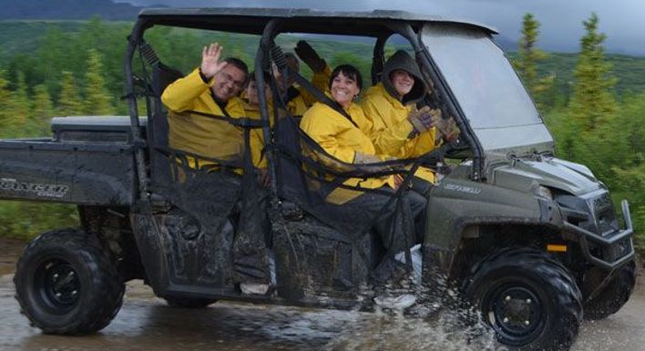 private tours denali national park