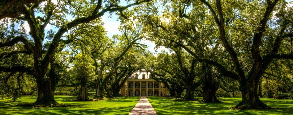 Day Trips From New Orleans - Plantation Tour