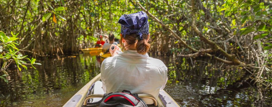 Kayaking In Key Largo