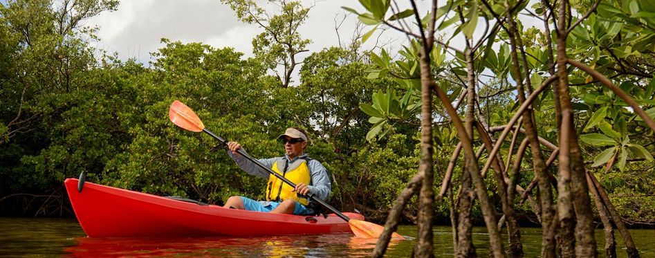 Kayaking In The Keys