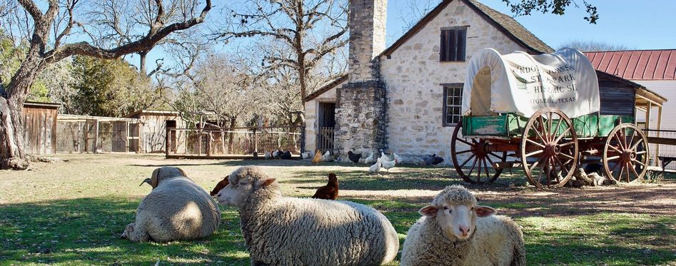 winery tour in fredericksburg tx