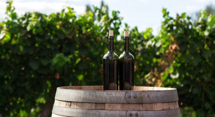 destination temecula wine tours and experiences