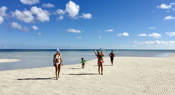 manatee tours key largo