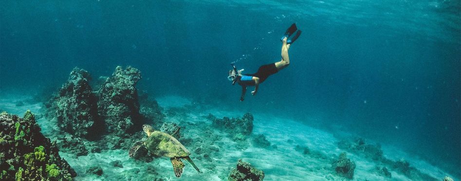 Snorkeling In Grenada