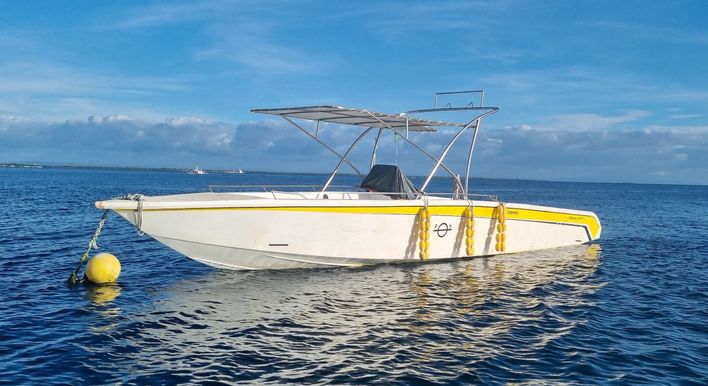 Cebu Island Hopping via Speedboat