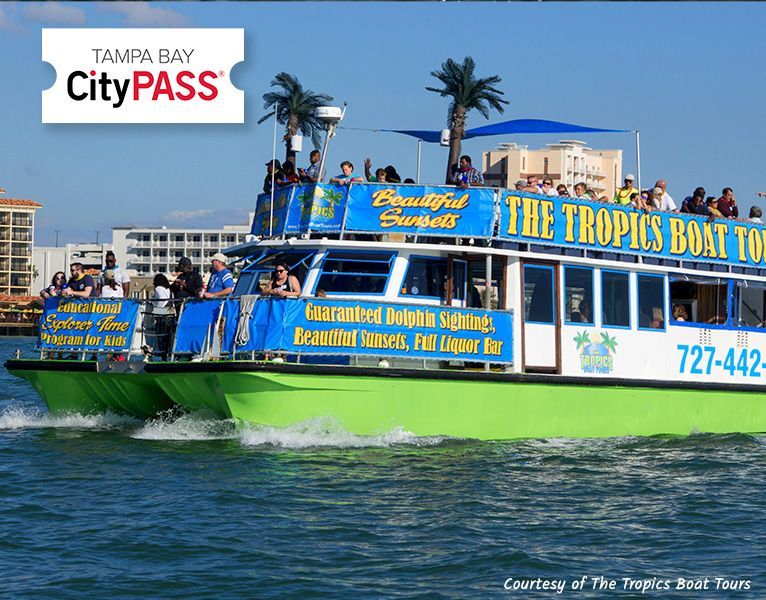 Emerald Coast Dolphin Cruises: Top Picks for Your Awesome Trip