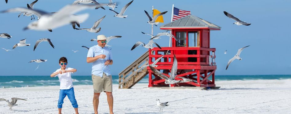 things to do in clearwater fl