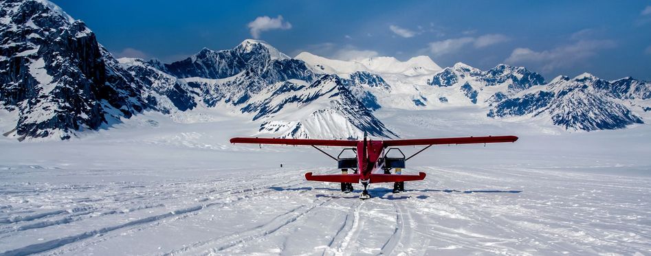 private tours denali national park