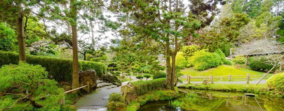 Top 7 Things To Do In Golden Gate Park