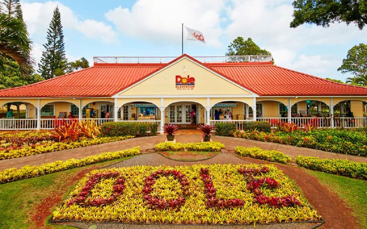 Oahu's Dole Plantation