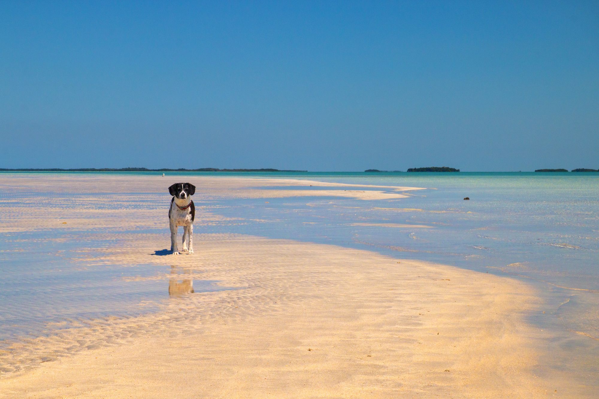 Sandbars In The Florida Keys