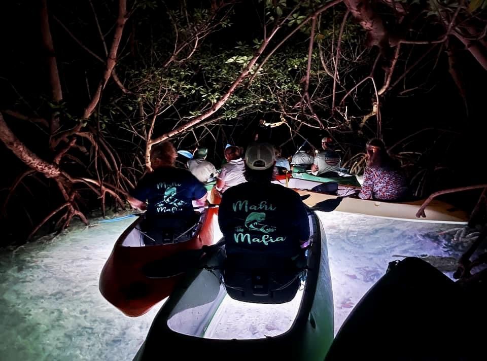 Key West Mangroves At Night