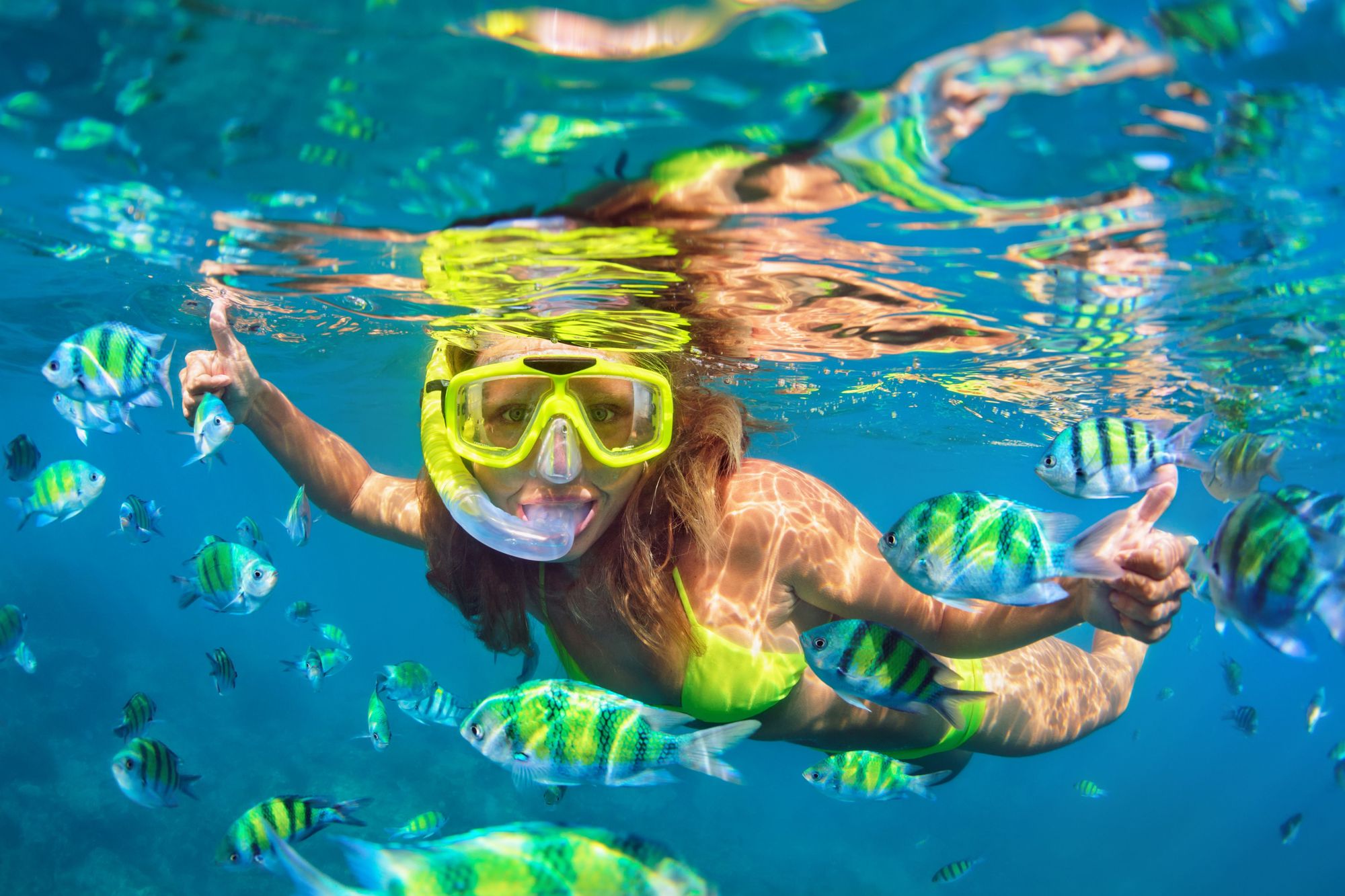 Snorkeling In Hawaii Island