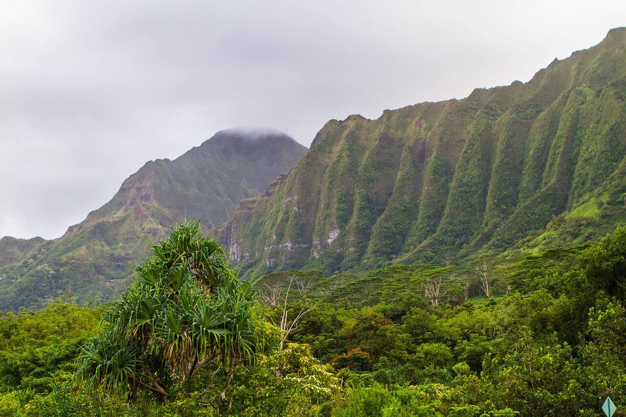 Ho'omaluhia Botanical Gardens in Oahu, Hawaii