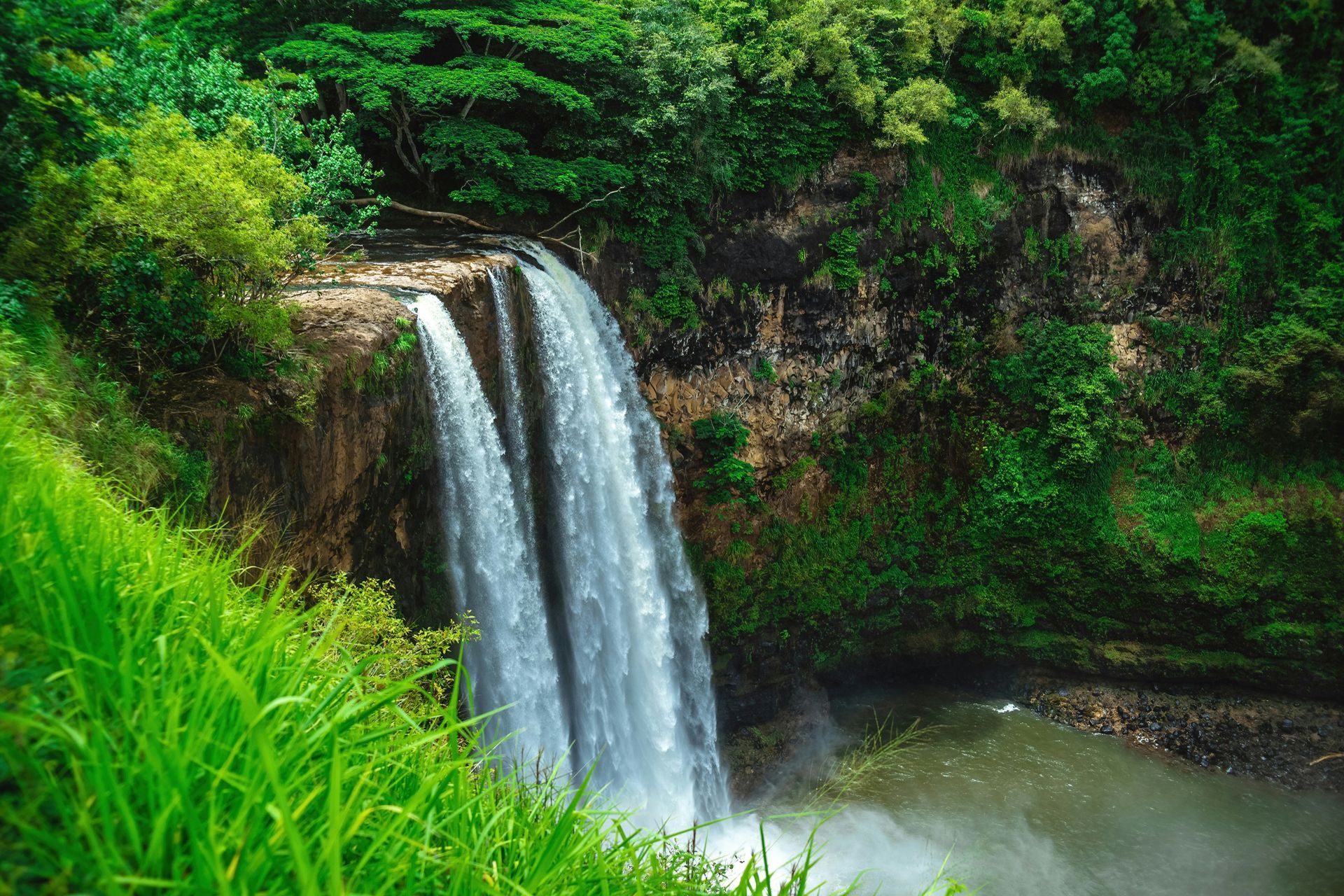 Waimea Valley Trail To Waimea Falls