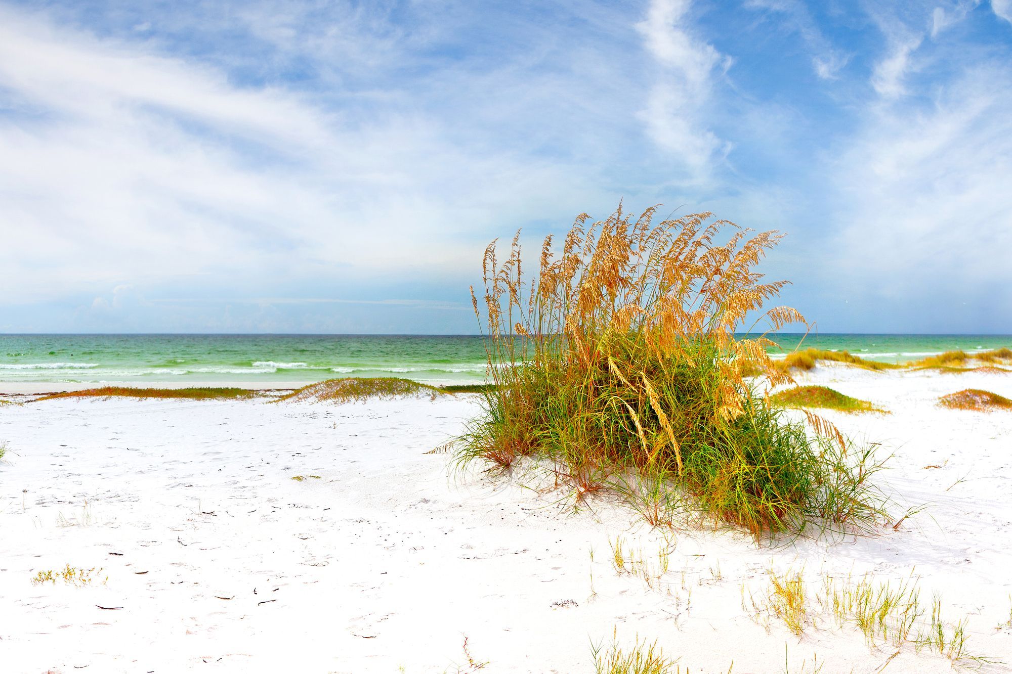 Sand Key Park