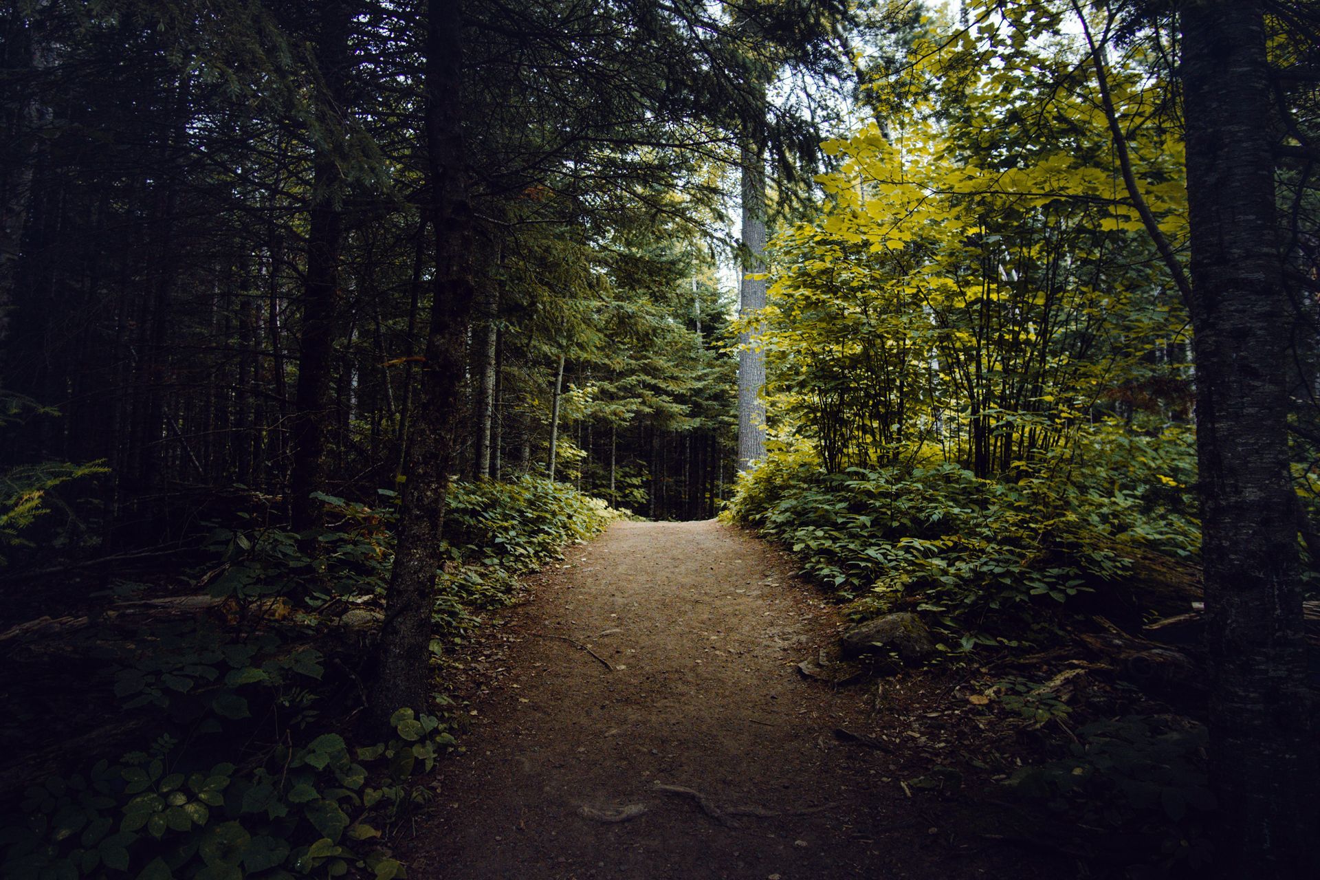 Hiking In Minnesota State Parks