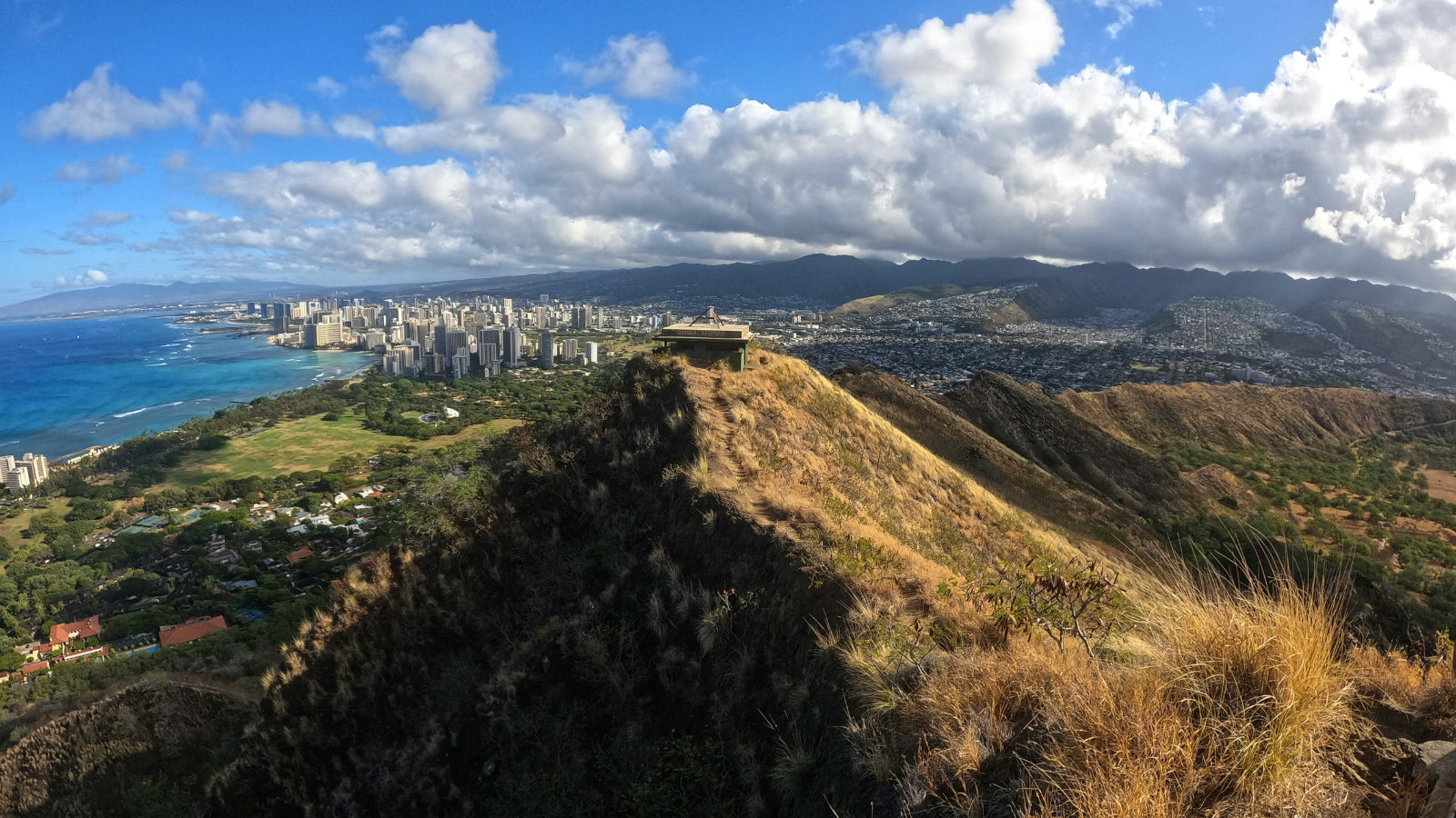 green world coffee farm Diamond Head Lookout