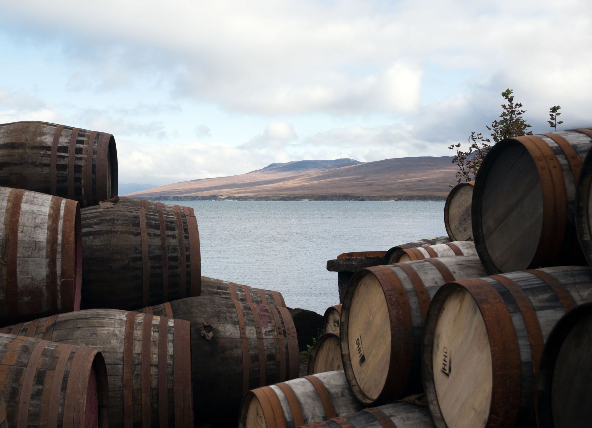 Scotch Whisky Barrels