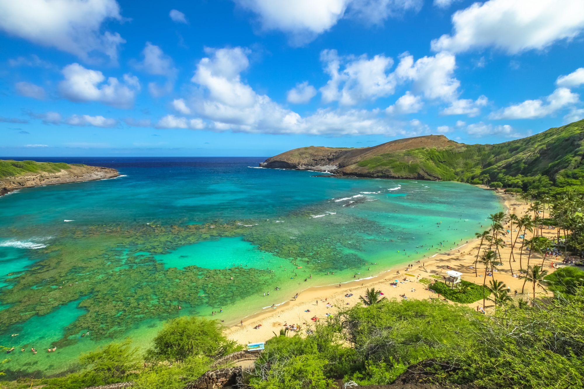 Hanauma Bay In Oahu Hawaii