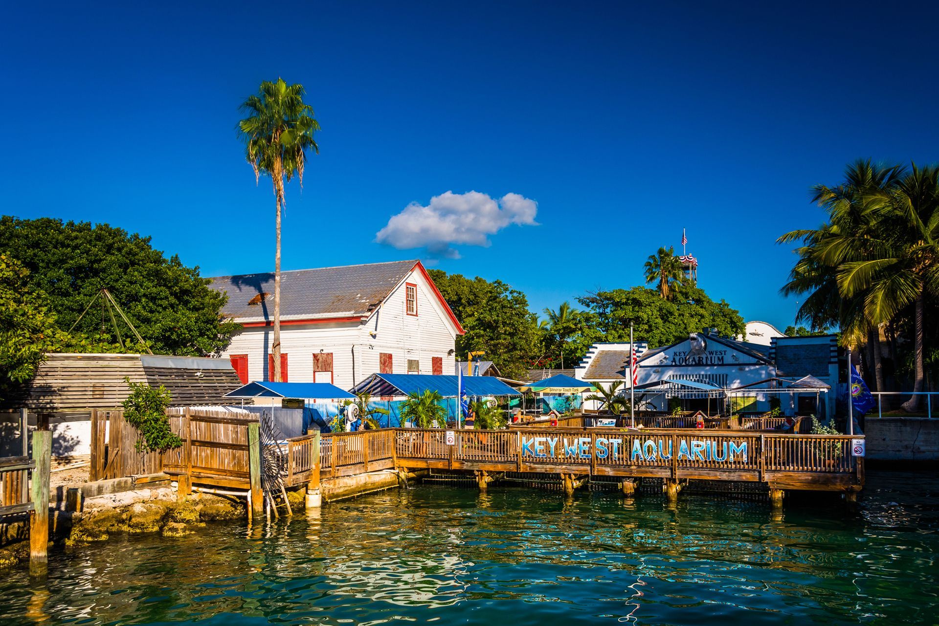 Key West Aquarium Near Duval Street