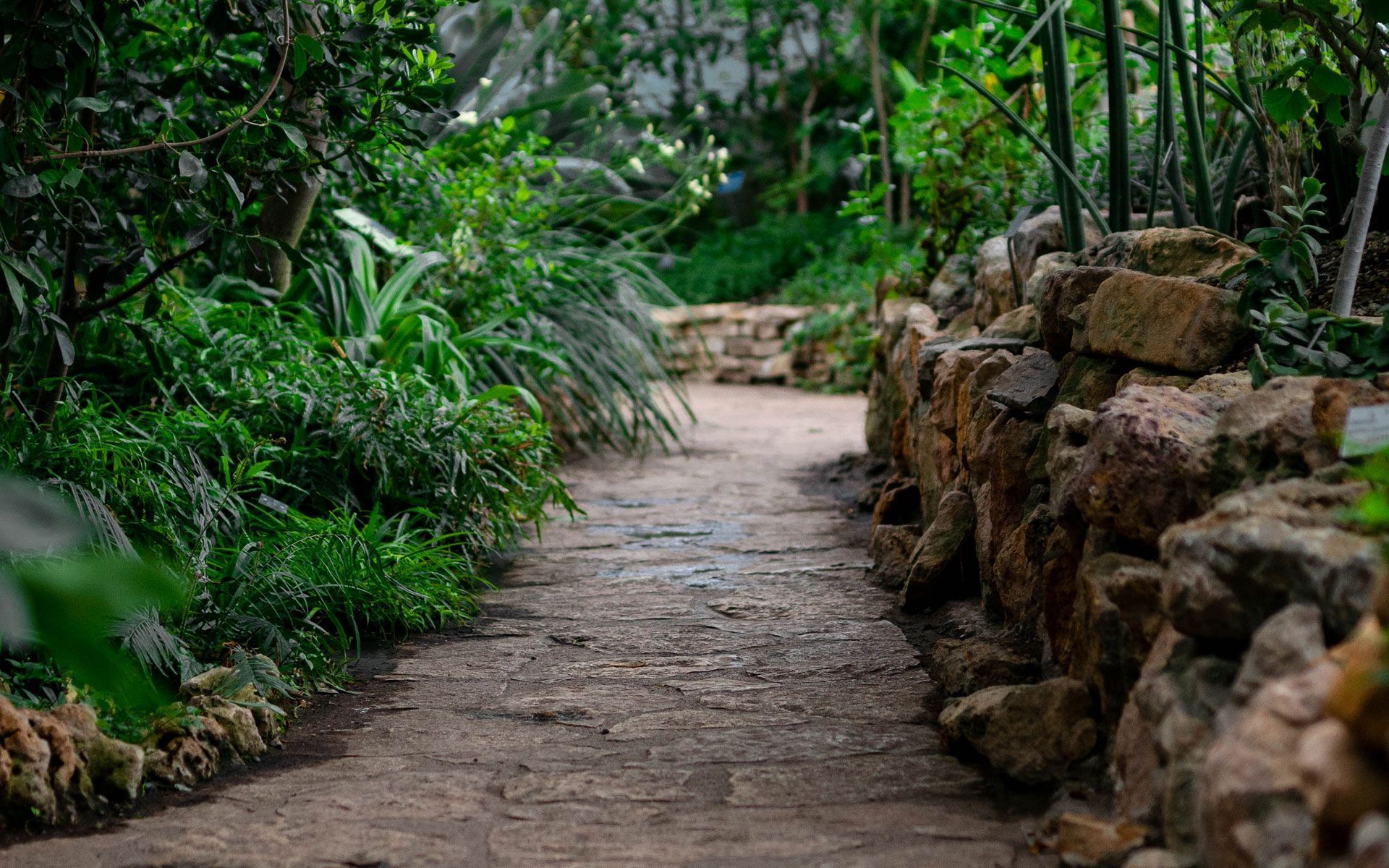 Stunning Tropical Garden