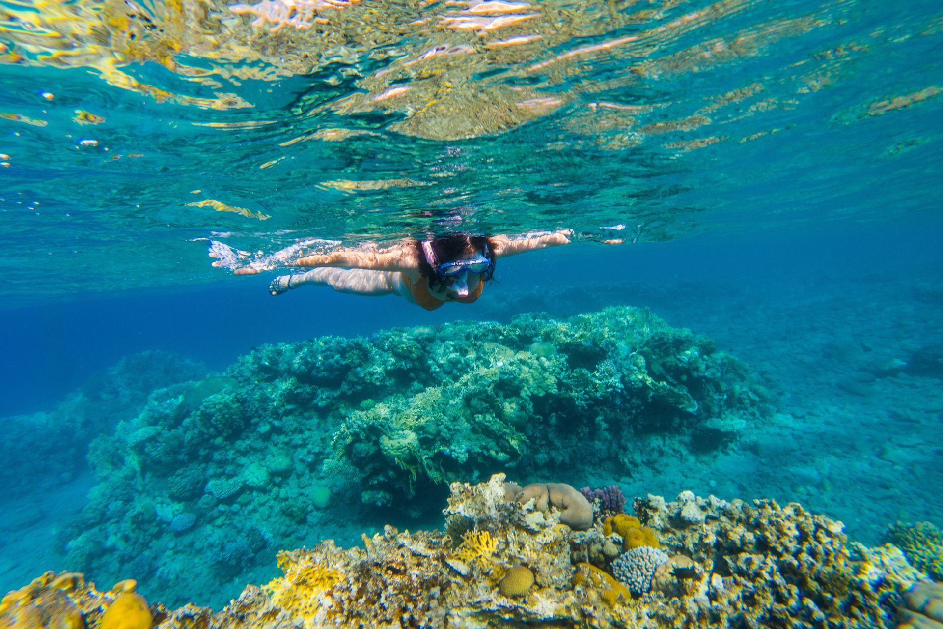Snorkeling - Sand Key Lighthouse Reef