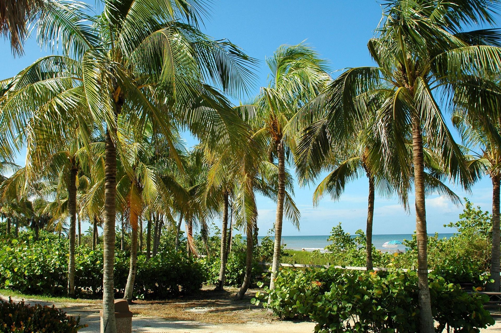 Key West In Winter