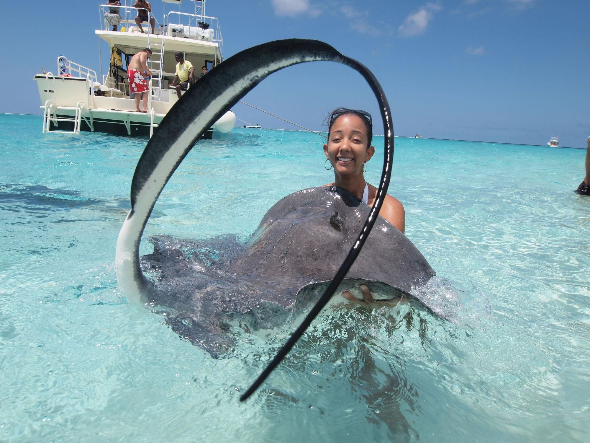 Human Interaction With Stingrays During Stingray City Tours