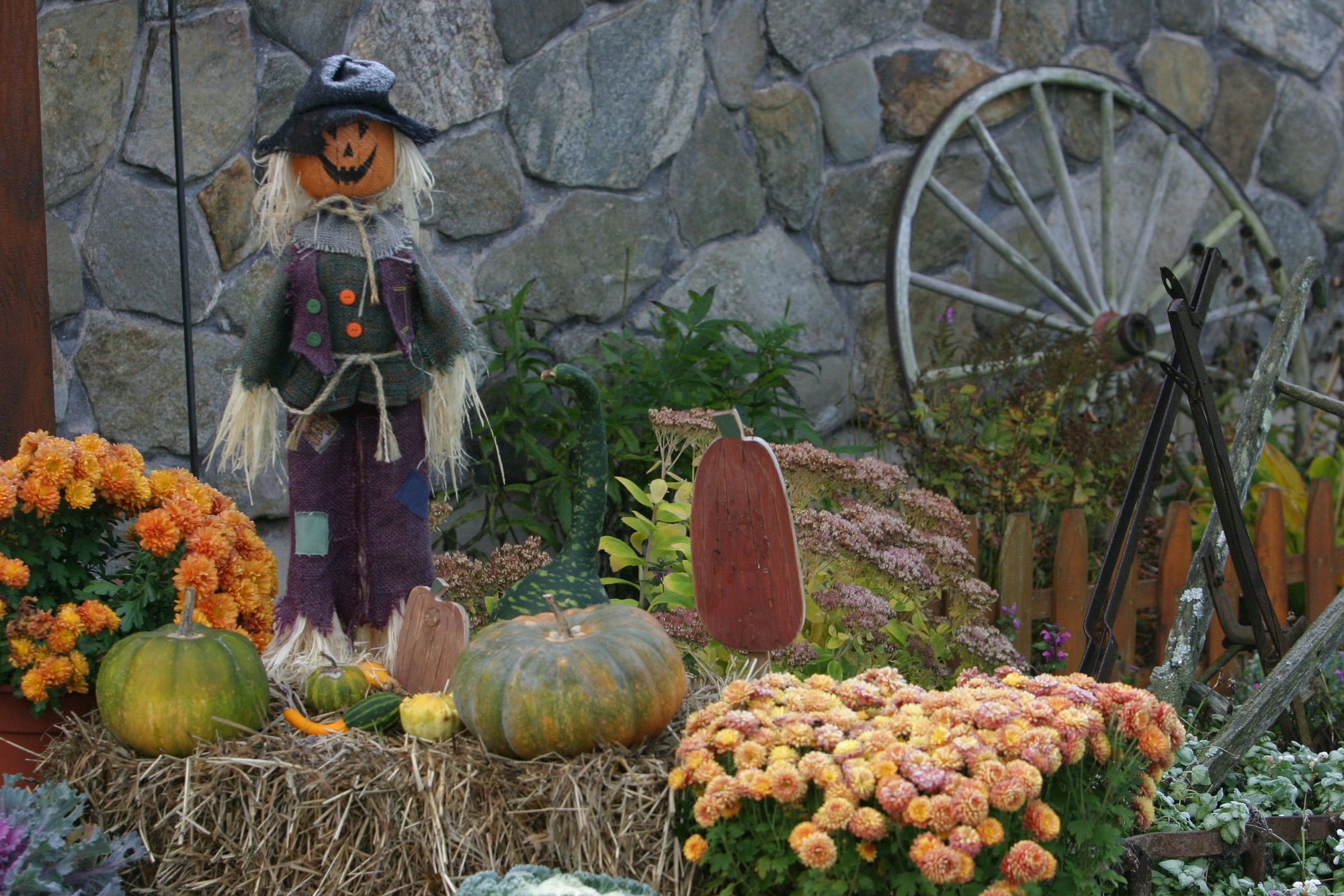 Key West Halloween Scarecrow At The Botanical Garden