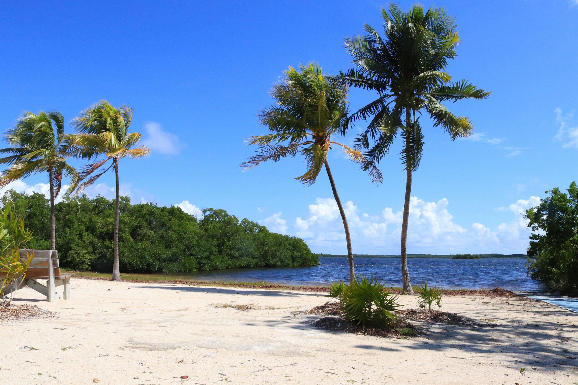 John Pennekamp Coral Reef State Park 