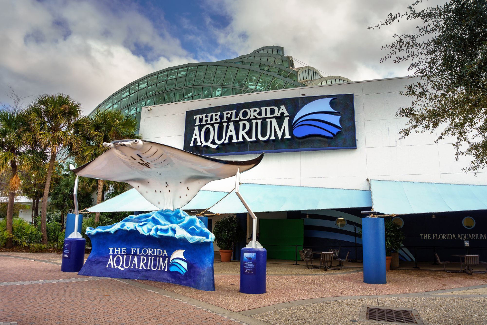 Explore The Florida Aquarium In Tamba Bay
