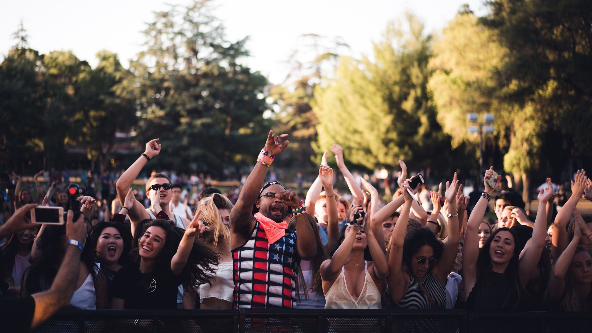 Concert At The Park